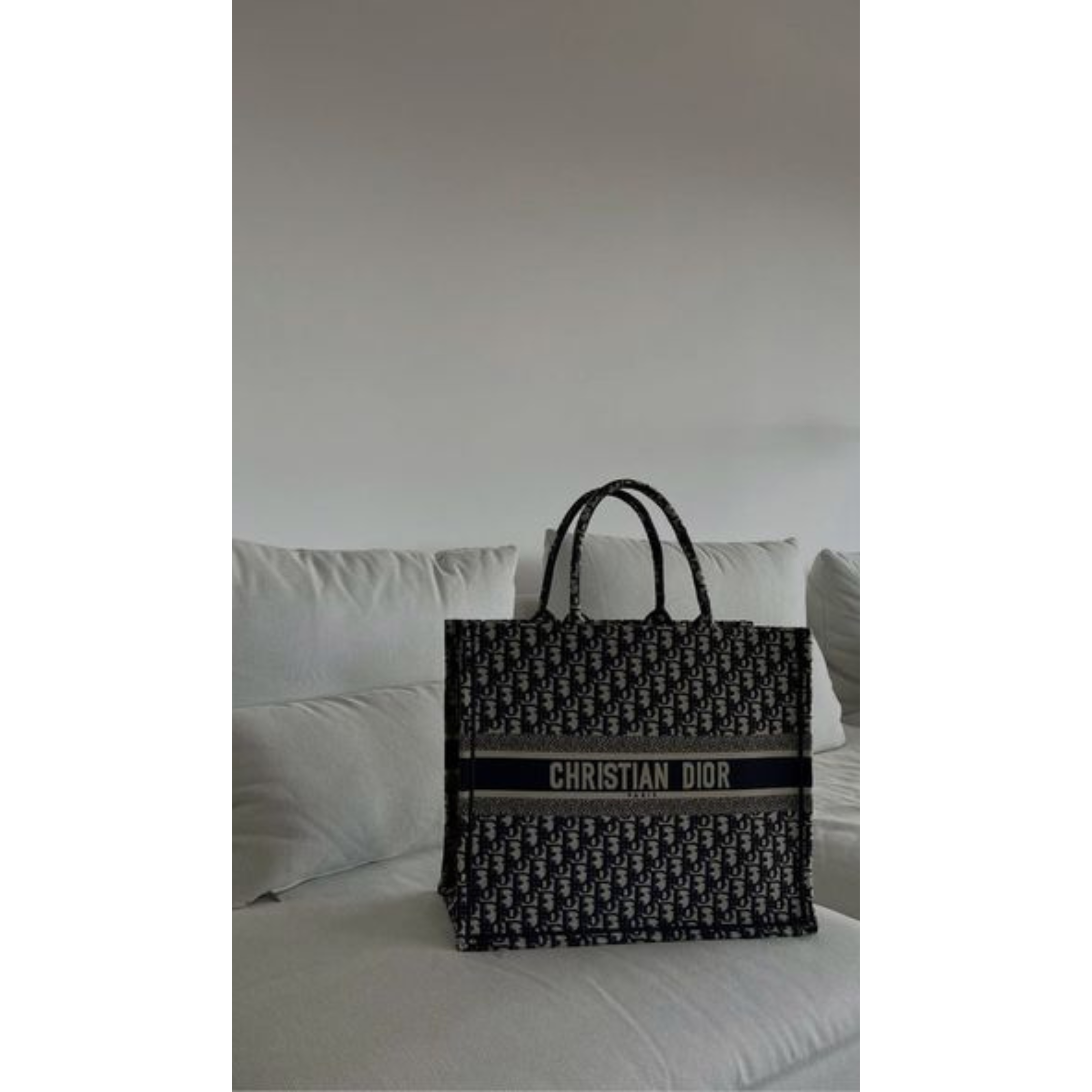 DIOR TOTE BAG LARGE - dior-5-4.png