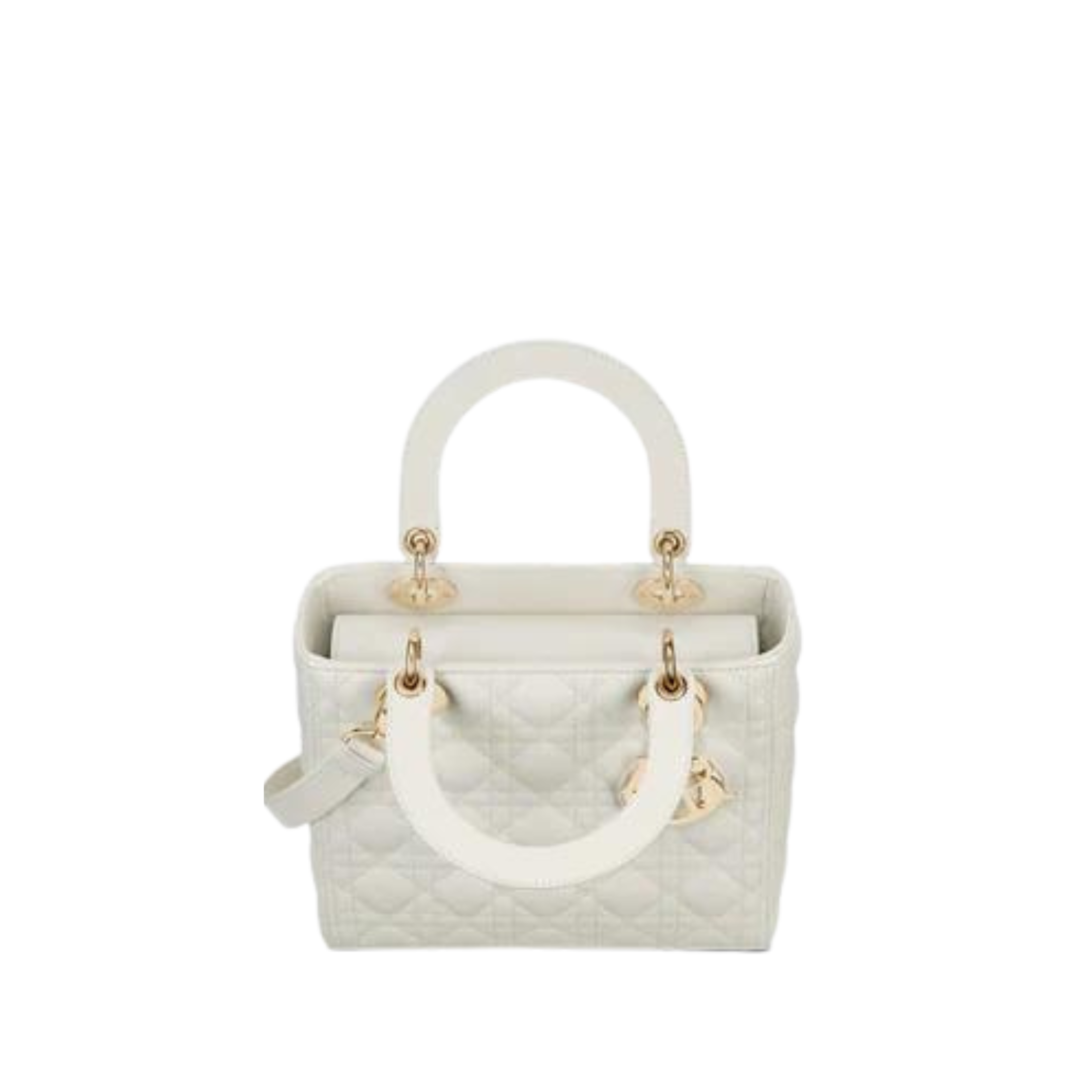 MEDIUM LADY DIOR BAG - 2-15.png