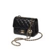 MINI FLAP BAG - 2-2.jpeg