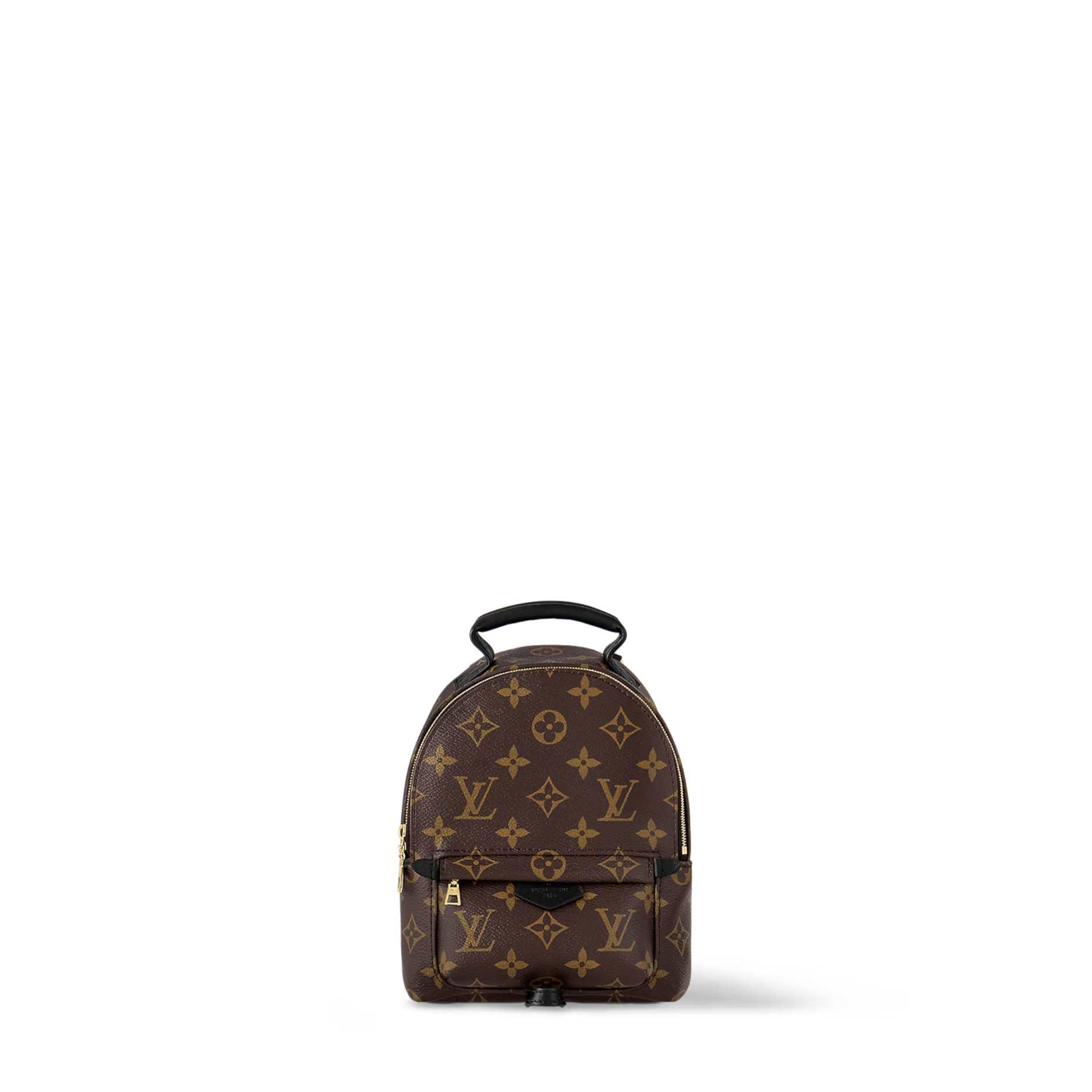 Palm Springs Mini Backpack - 1-8.jpeg