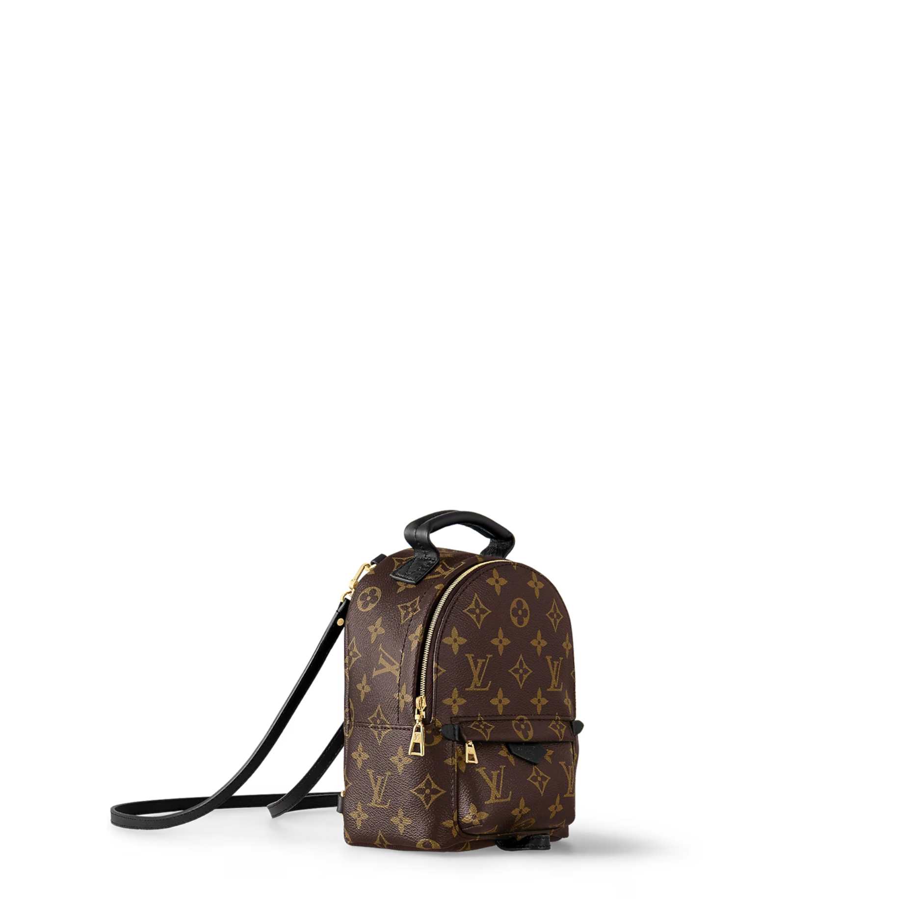 Palm Springs Mini Backpack - 2-8.jpeg