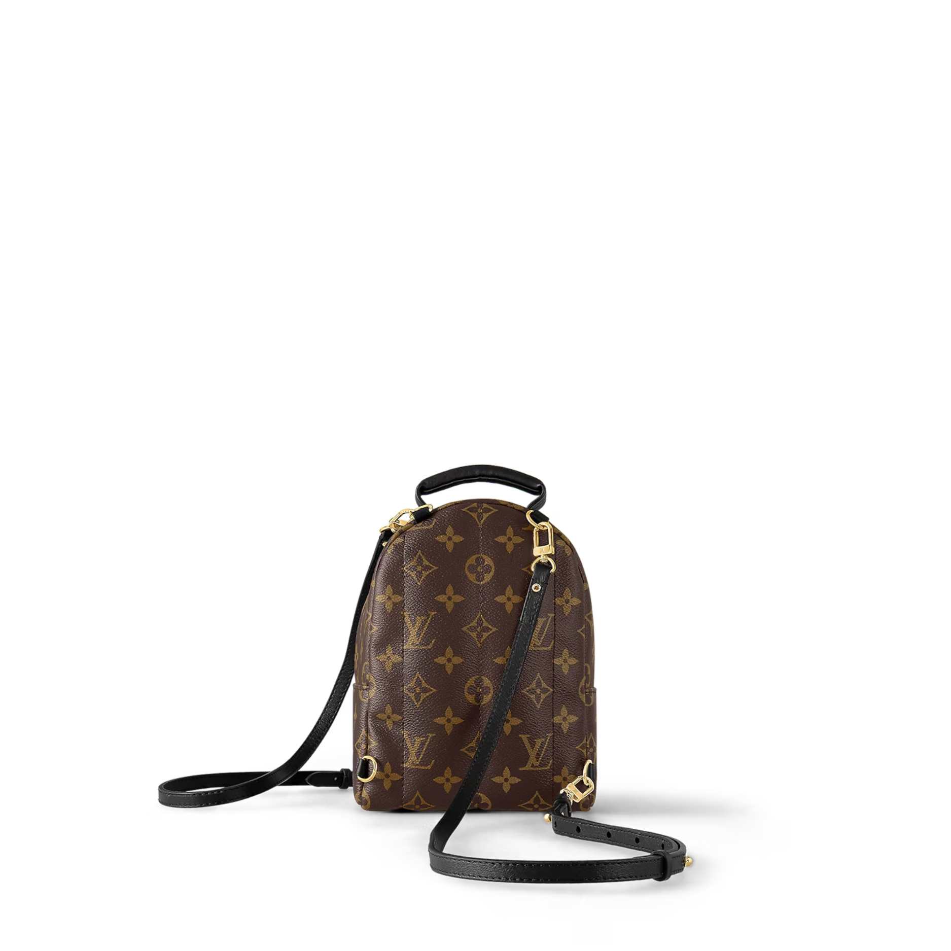 Palm Springs Mini Backpack - 3-6.jpeg