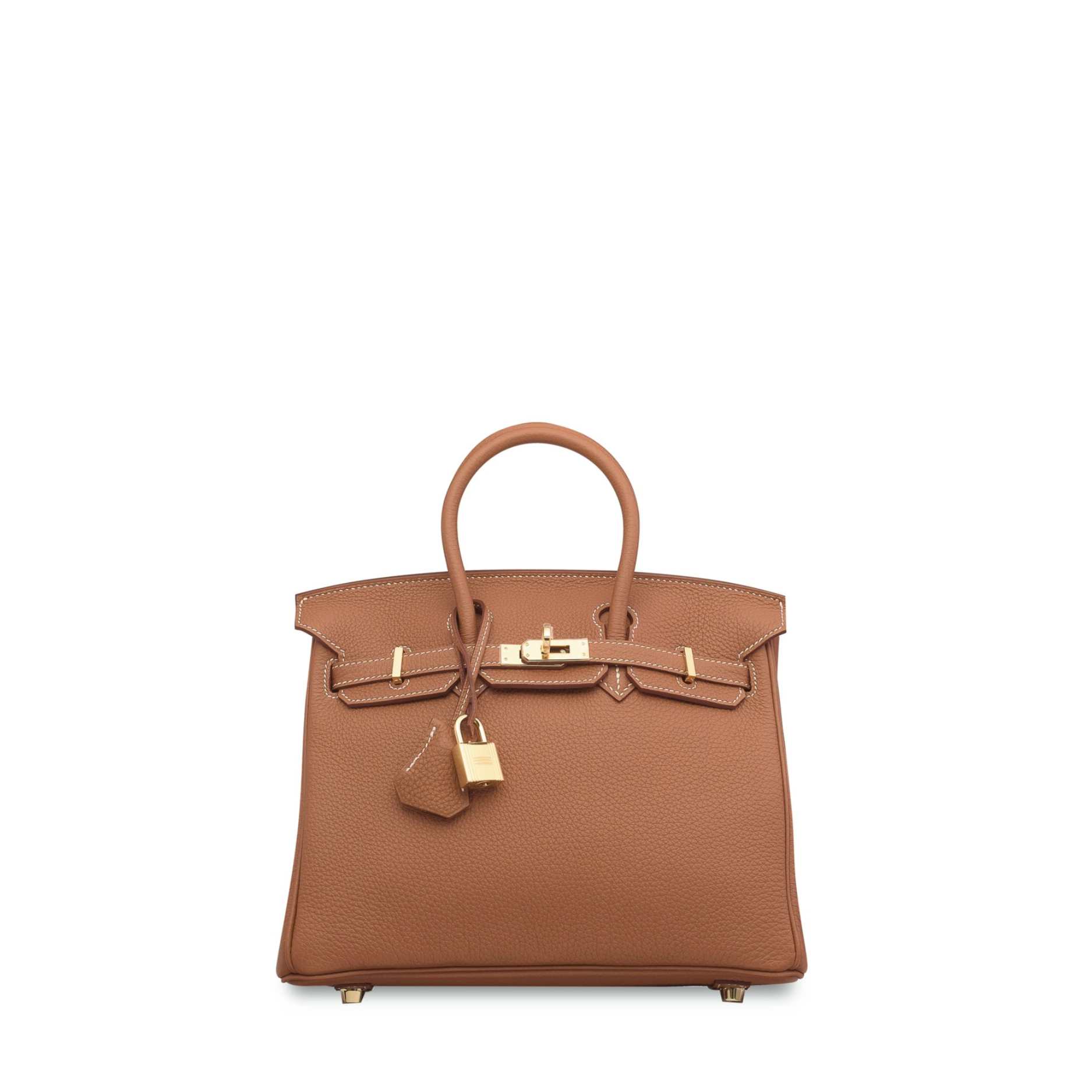 Birkin 25 Gold Togo Gold Hardware - 1§.jpeg